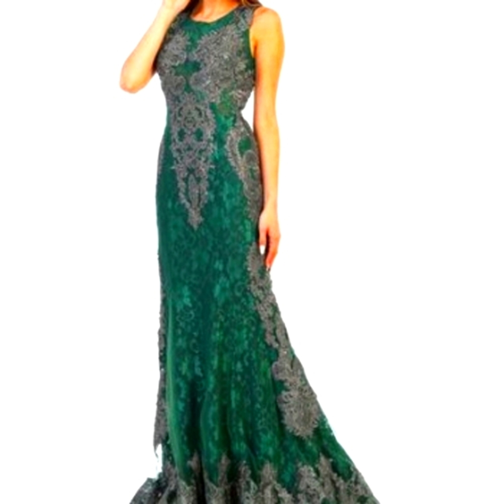Stunning Hunter Green Embellished Mesh Lace Sheath Gown